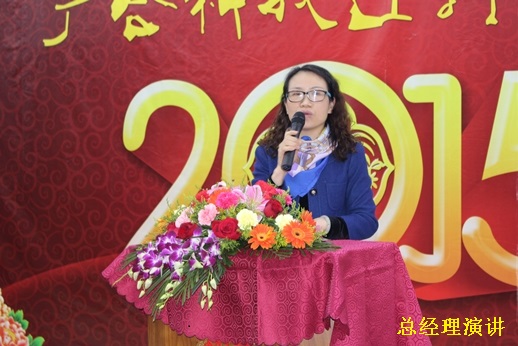 2015年bevictor伟德科技迎春晚宴